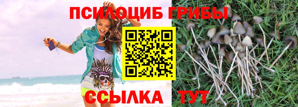 Апшеронск  Галлюциногенные грибы MAGIC MUSHROOMS  Вход с VPN  Галлюциногенные грибы Cubensis 